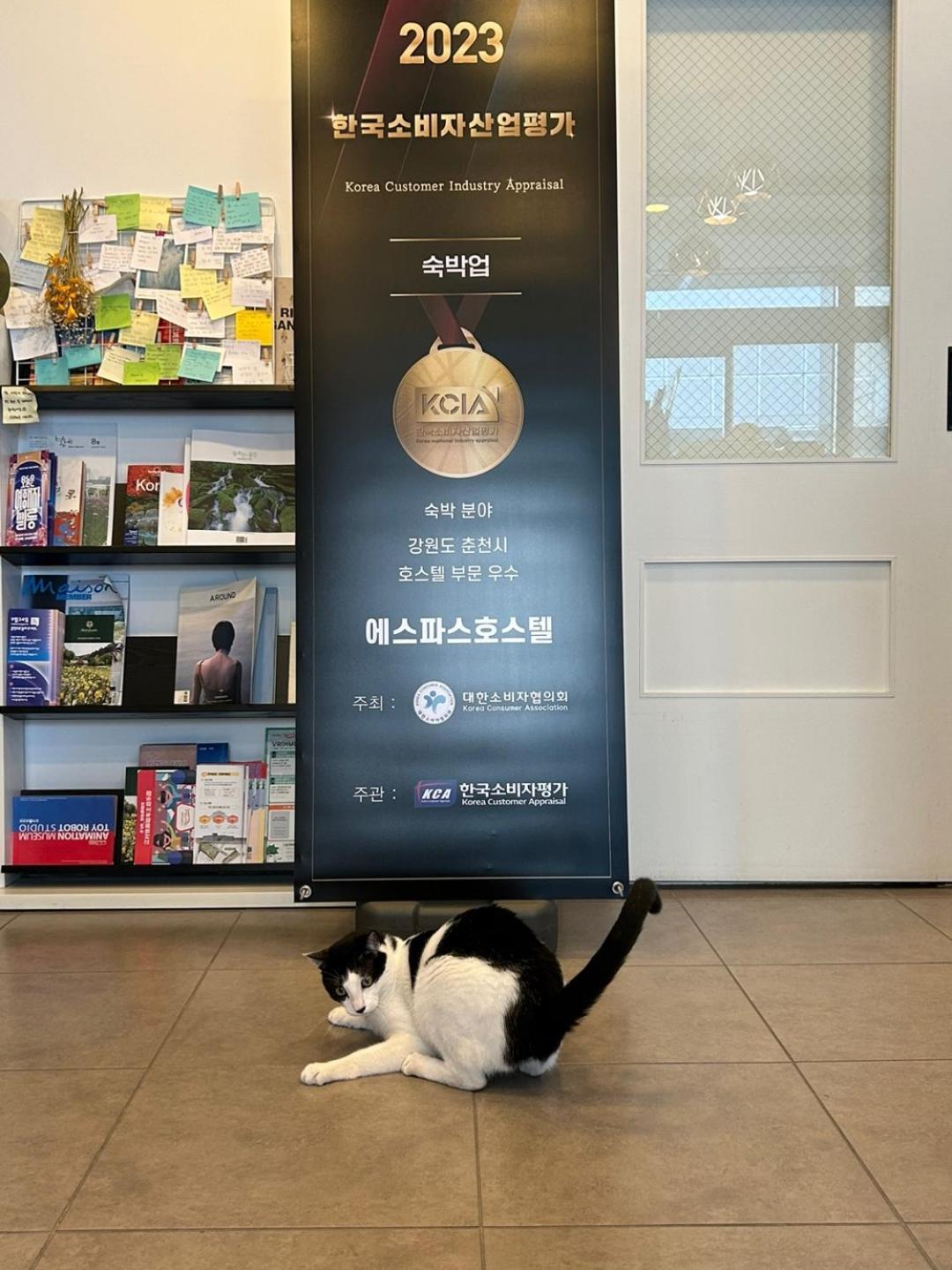 Hostel Espace Chuncheon Dış mekan fotoğraf